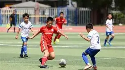 “多特蒙德对阵葡萄牙体育欧冠预热：核心球员归来，多特实力提升”